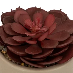 ATMOSPHERA Plante grasse artificielle 