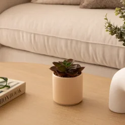 ATMOSPHERA Plante grasse artificielle 