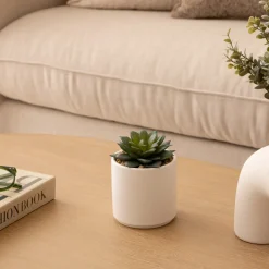 ATMOSPHERA Plante grasse artificielle 