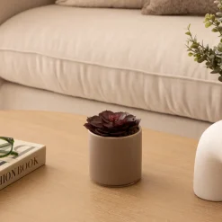 ATMOSPHERA Plante grasse artificielle 