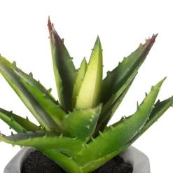 ATMOSPHERA Plante grasse artificielle Outlet