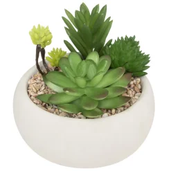 ATMOSPHERA Plante grasse artificielle New