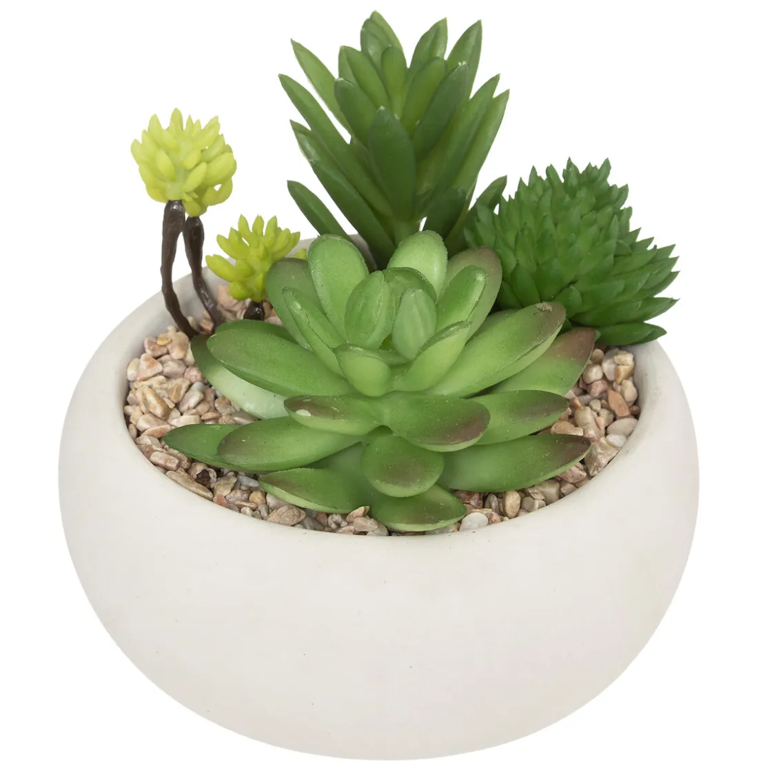 ATMOSPHERA Plante grasse artificielle New