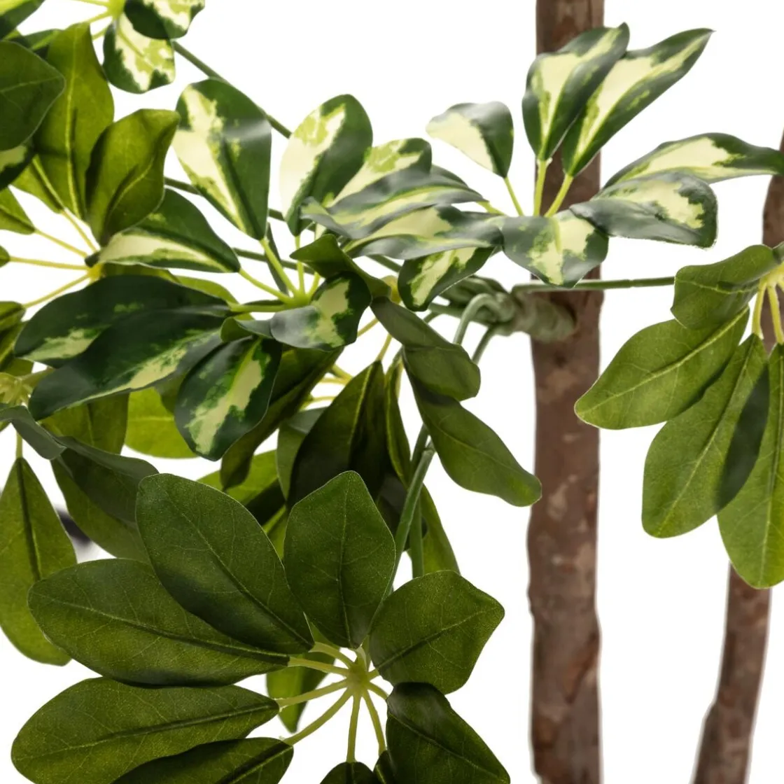 ATMOSPHERA Schefflera artificiel Outlet