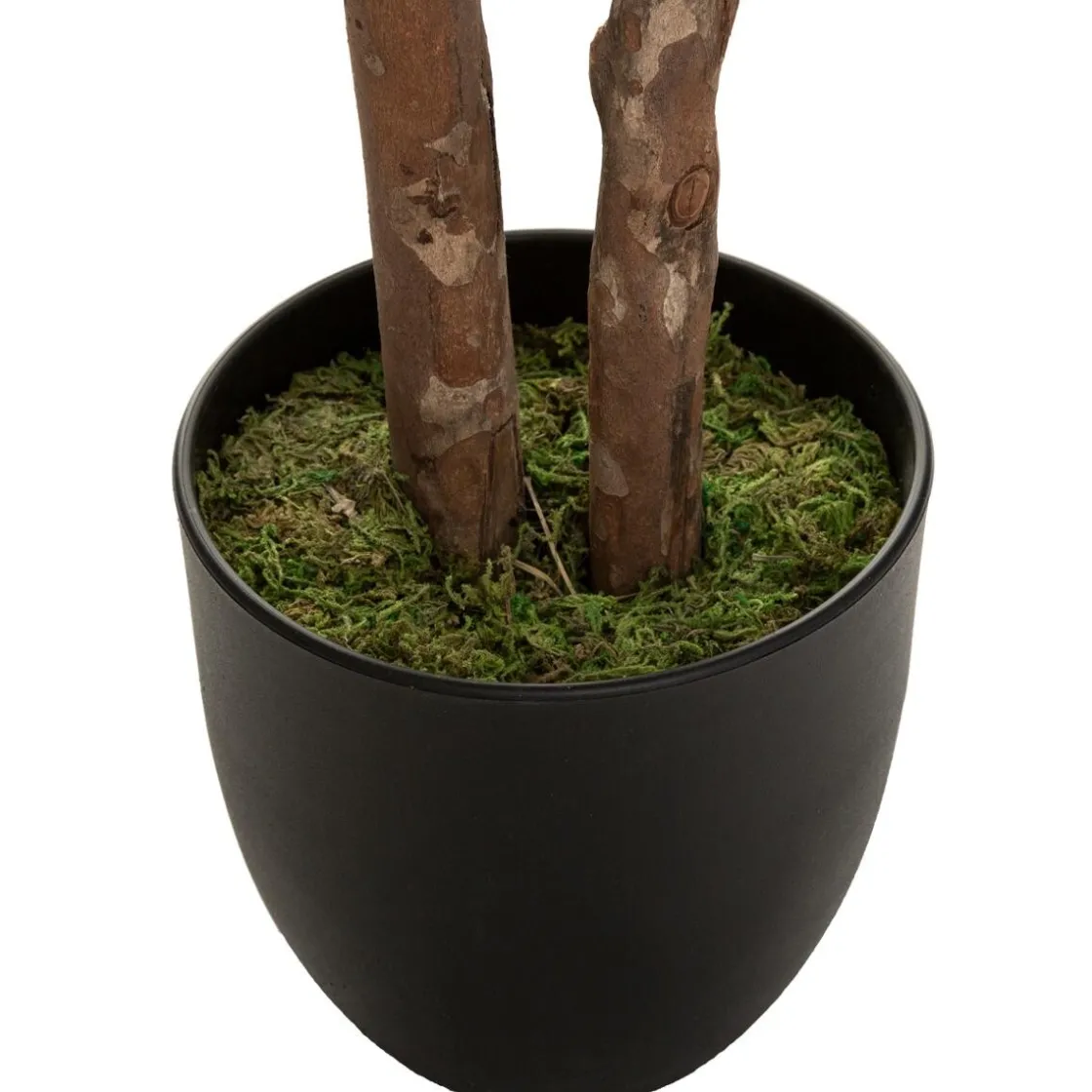 ATMOSPHERA Schefflera artificiel Outlet