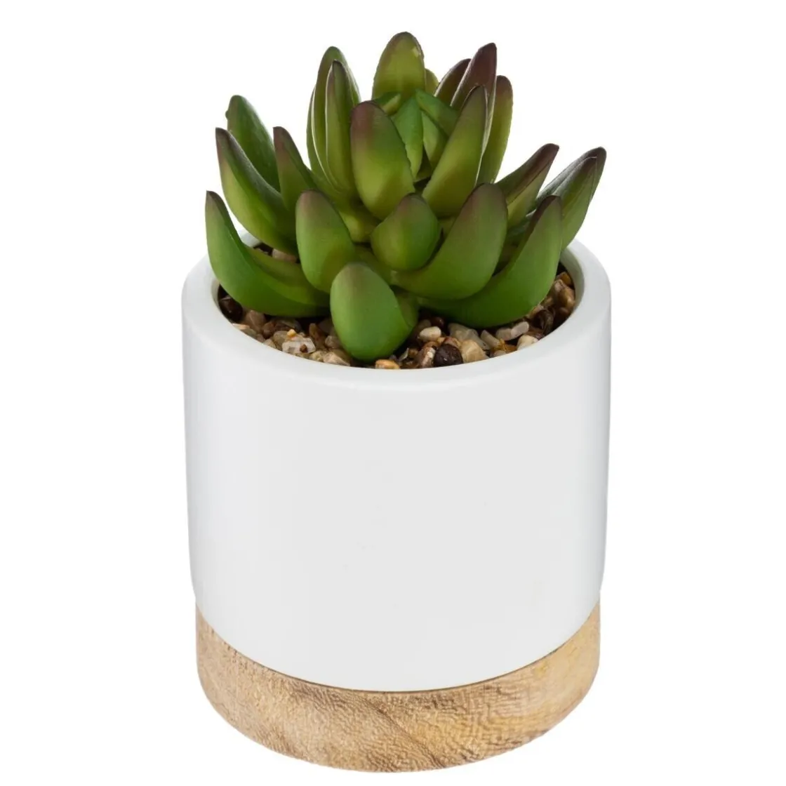 ATMOSPHERA Succulente artificielle