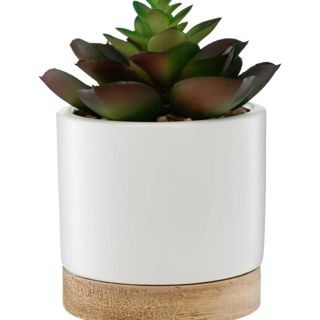 ATMOSPHERA Succulente artificielle