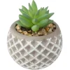 ATMOSPHERA Succulente artificielle Discount