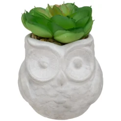 ATMOSPHERA Succulente artificielle Best