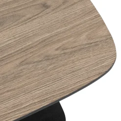 ATMOSPHERA Table basse 1 étagère 