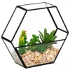ATMOSPHERA Terrarium artificiel "Pia" Hot