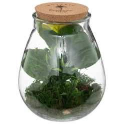 ATMOSPHERA Terrarium "Bota", verre Best