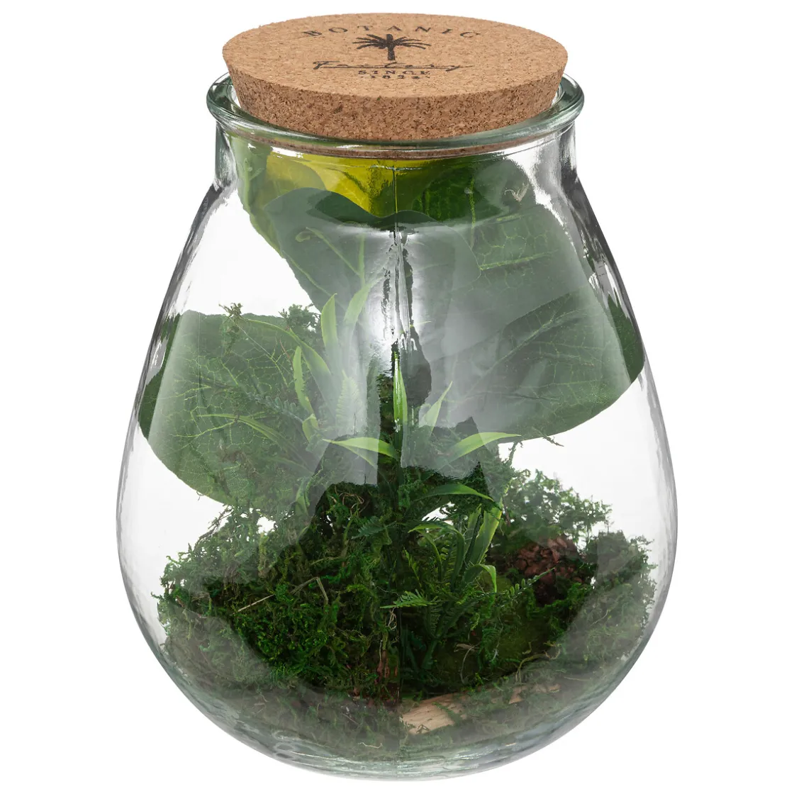 ATMOSPHERA Terrarium "Bota", verre Best