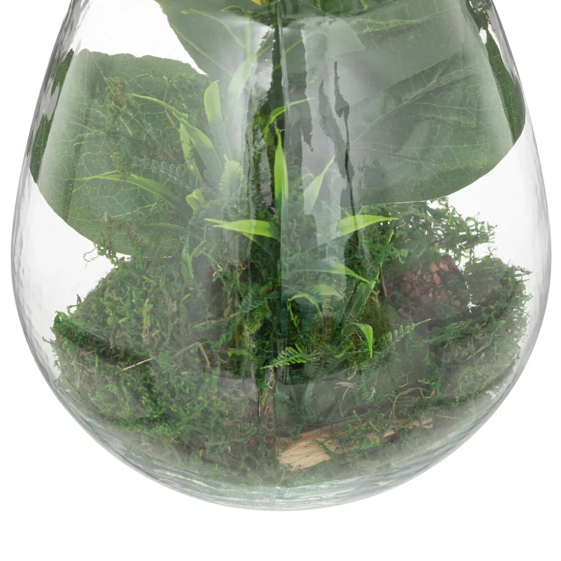 ATMOSPHERA Terrarium "Bota", verre Best
