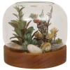 ATMOSPHERA Terrarium "Wonj" Outlet