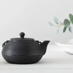 ATMOSPHERA Théière en fonte "Marin" Hot