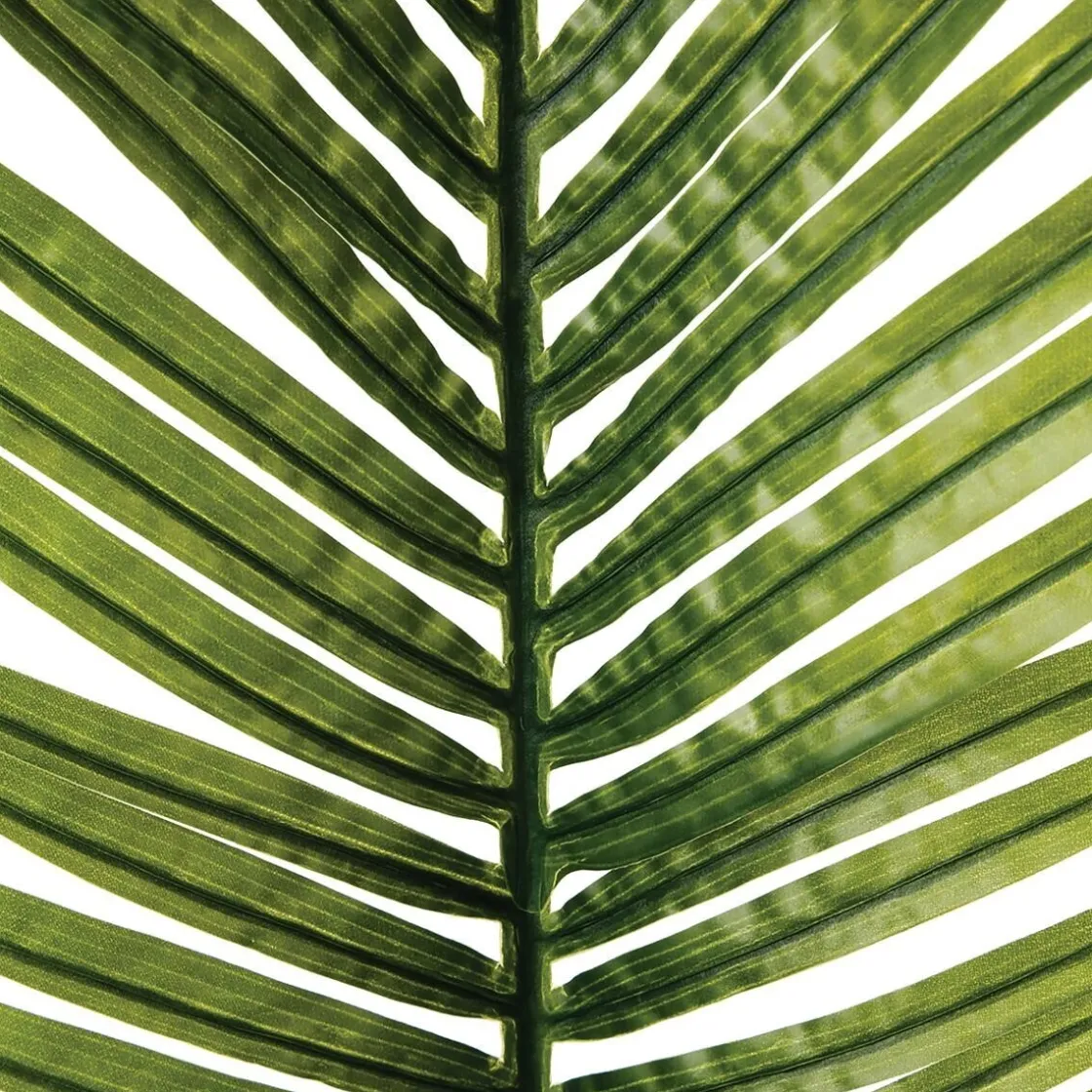 ATMOSPHERA Tige de palmier artificiel Best