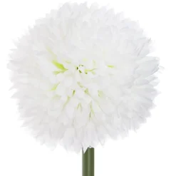 ATMOSPHERA Tige de pompons artificiels New