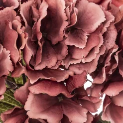 ATMOSPHERA Tige d'hortensia artificiel Best