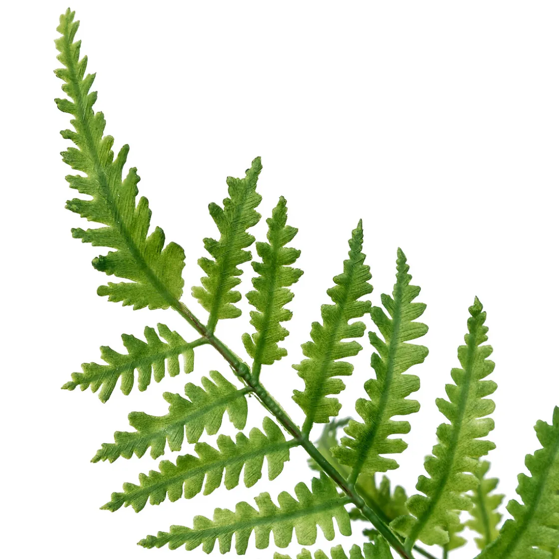 ATMOSPHERA Tige fougère artificielle "James" Best