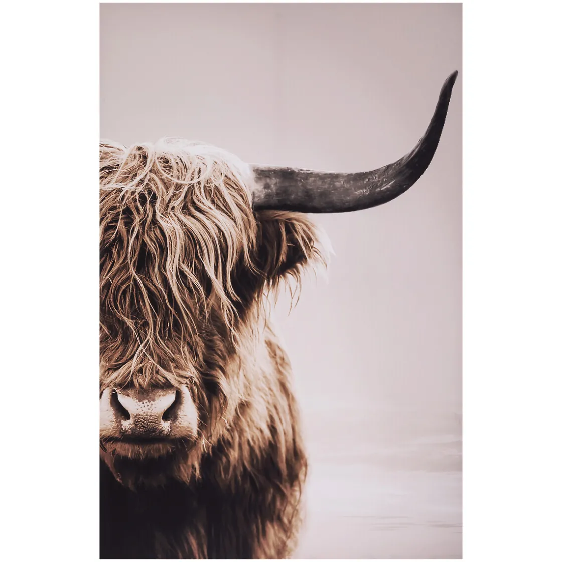 ATMOSPHERA Toile encadrée "Animaux"