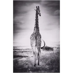 ATMOSPHERA Toile encadrée