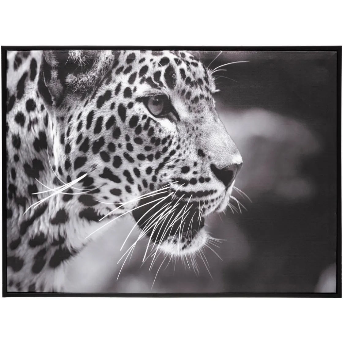 ATMOSPHERA Toile encadrée "Animaux" Clearance