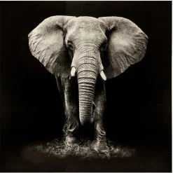 ATMOSPHERA Toile imprimée "Animaux" Online