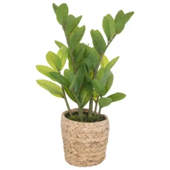 ATMOSPHERA Zamio artificiel New