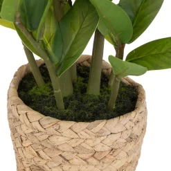 ATMOSPHERA Zamio artificiel New